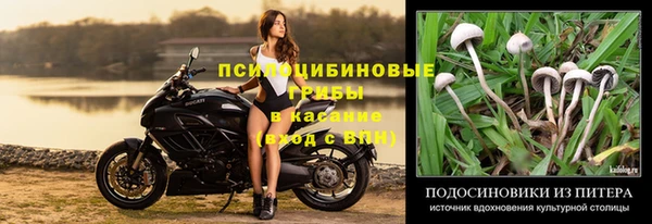 круглые Армянск