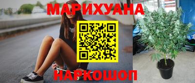 гидропоника Гусь-Хрустальный