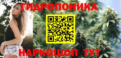 гашик Кимры