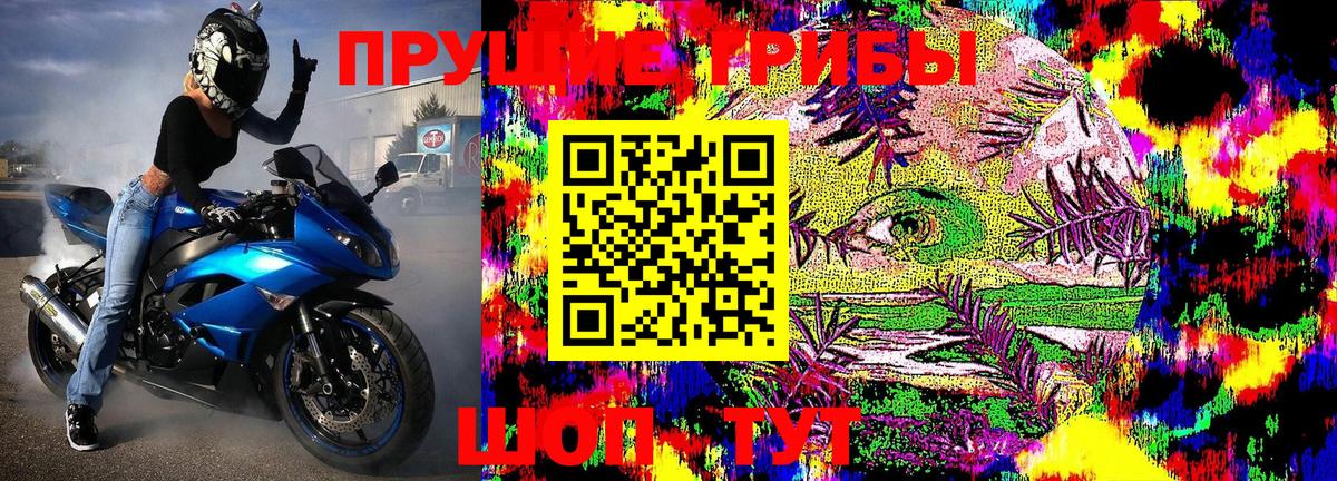 Псилоцибиновые грибы Magic Shrooms Коломна